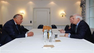 شكري وبوريل يؤكدان حرصهما على العمل المشترك لتحقيق انفراجة في الوضع المتأزم في غزة