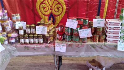 افتتاح معرض 