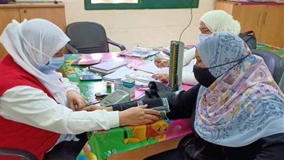 عاجل.. «الصحة» تطلق حملة تنشيطية للصحة الإنجابية بجميع المحافظات خلال فبراير