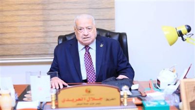 حماة الوطن يدعم تحركات مصر أمام العدل الدولية ضد ممارسات إسرائيل بحق فلسطين