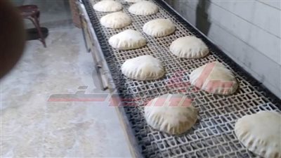 تموين كفر الشيخ: يحرر 16 محضر مخالفات بمخابز بلطيم