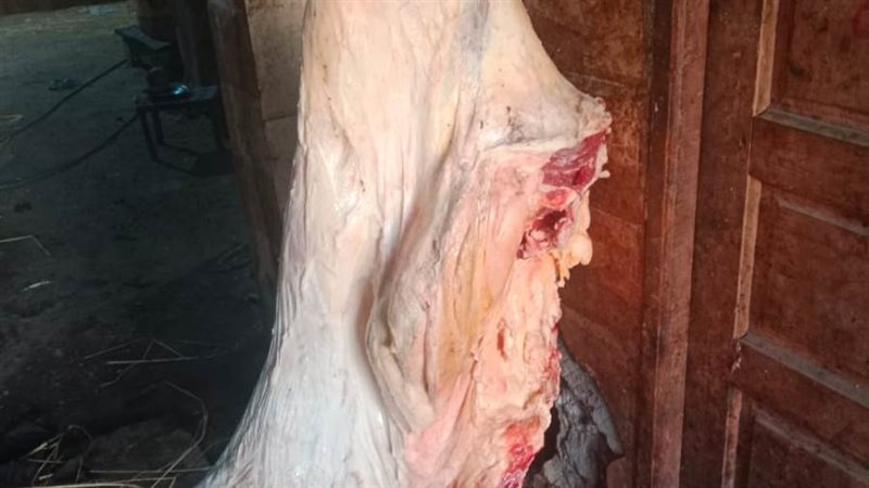 ضبط لحوم غير صالحة