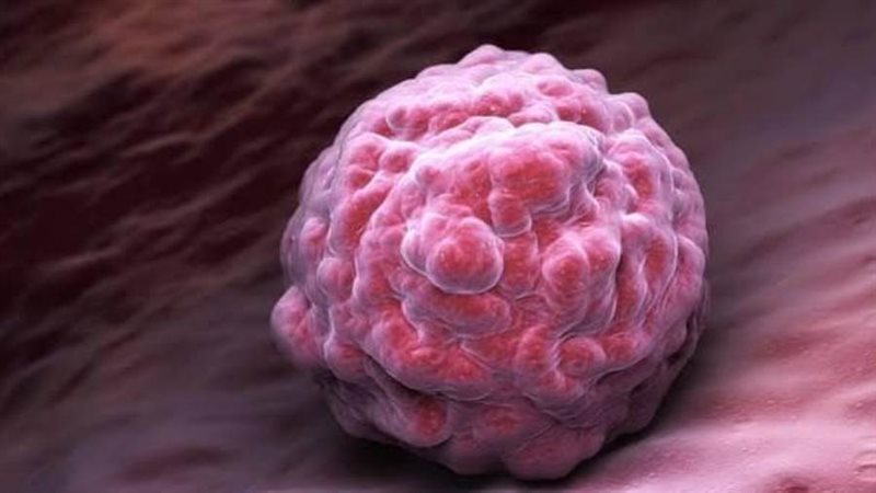 الخلايا الجذعية