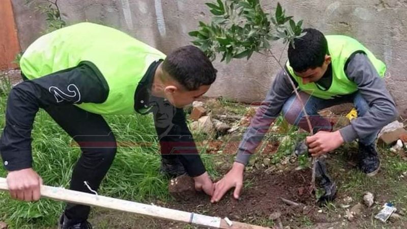 زراعة الأشجار