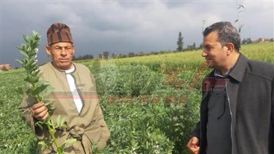 فرق إرشادية ريفية على المحاصيل الشتوية والإنتاج الحيواني بكفر الشيخ 