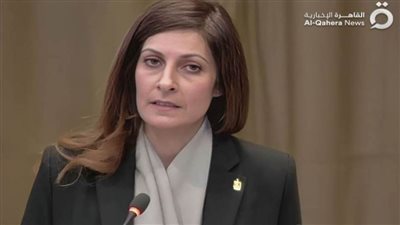 عبدالجواد: المرافعة المصرية أمام «العدل الدولية» دعوة لاتخاذ موقف حاسم أمام الانتهاكات الإسرائيلية ضد الفلسطينيين