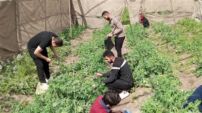 مركزي المناخ ينظم يوما حقليا لطلبة وخريجي كليات الزراعة