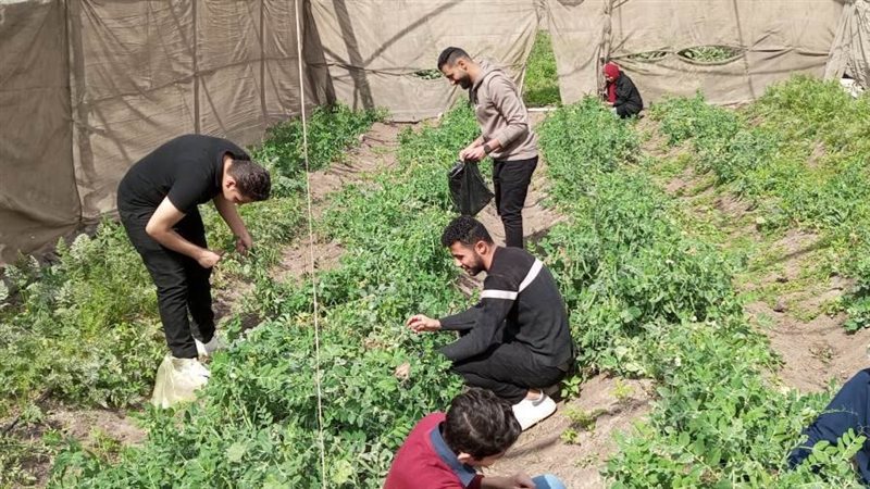 جانب من التدريب