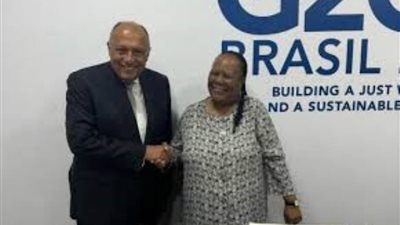 شكري يستعرض في لقاء مع نظيرته الجنوب إفريقية جهود مصر على كافة الأصعدة لوقف العدوان على غزة