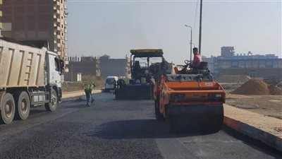 إحلال وتجديد كوبري الحدين والكوم الأخضر بالبحيرة بتكلفة ٦ ملايين جنيه