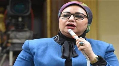 القوي العاملة بالنواب: الرئيس السيسي يولي اهتمامًا كبيرًا لمواجهة التحديات المناخية وتحقيق التنمية المستدامة