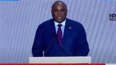 رئيس أفريكسيم بنك: 48% فقط من سكان أفريقيا يحصلون على خدمات الرعاية الصحية الأساسية