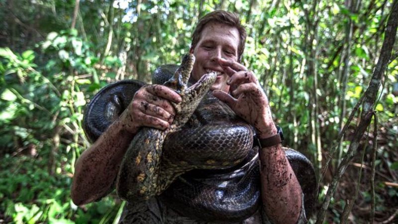 البروفيسور فريك فونك