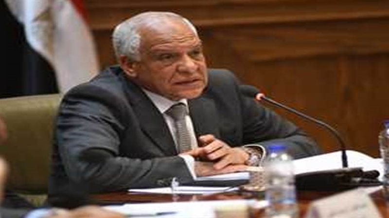 محافظ الجيزة أحمد