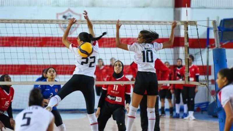 الكرة الطائرة