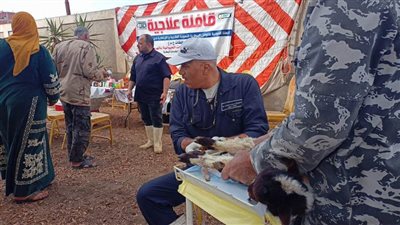 معهد التناسليات الحيوانية ينظم قافلة بيطرية لعلاج مواشي صغار مربي القليوبية