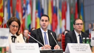 الرئيس النمساوي يؤكد تضامن بلاده الثابت مع أوكرانيا