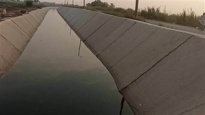 بـ3 مليارات جنيه.. تبطين الترع بالمنيا أنهى هدر المياه ووصولها للنهايات