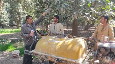 الزراعة تتابع أعمال البساتين والمشاتل بمحافظة المنيا