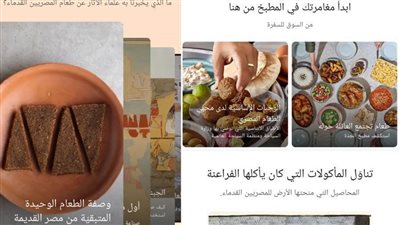 تحت رعاية السياحة والآثار Google تطلق مشروع شفرة مصر