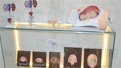 نائب محافظ البحيرة تتفقد المتحف الصحي بمديرية الصحة