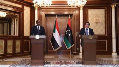 البرهان والمنفي يرفضان أي تدخلات خارجية في شؤون بلديهما