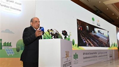 عصمت: إنشاء مصنع للأمونيا الخضراء بطاقة 350 ألف طن سنويا مع القطاع الخاص