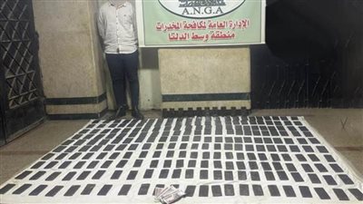 ضبط 25 كيلوجراما من مخدر الحشيش قيمتها 1.75 مليون جنيه بالإسكندرية
