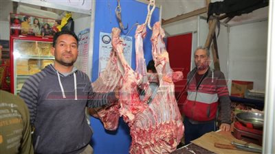 تموين الحامول يحرر 5 محاضر مخالفات تموينية بكفر الشيخ 