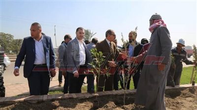زراعة 103 آلاف شجرة كفر الشيخ ضمن المبادرة الرئاسية 100 مليون شجرة