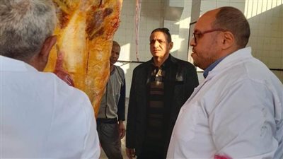 إعدام رأس ماشية تزن 400 كيلو مصابة بمرض السل خلال حملة رقابية في ملوي بالمنيا