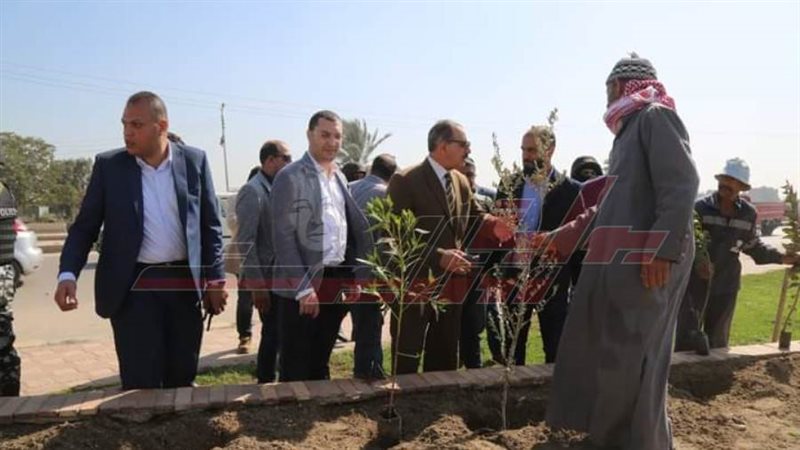 زراعة الأشجار