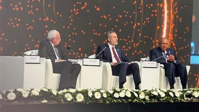 شكري: مصر تبذل كافة المساعي مع الشركاء للتوصل إلى وقف إطلاق النار في غزة قبل رمضان