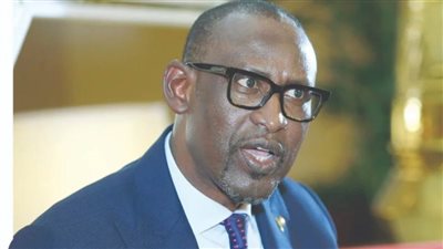 وزير خارجية مالي: التعاون العسكري مع روسيا يسمح بتعزيز قدراتنا