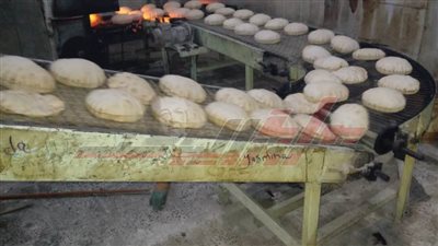 تحرير 4 محاضر مخالفات تموينية بقلين في كفر الشيخ