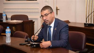 عضو بـصحة الشيوخ: السياحة العلاجية والاستشفائية تحظى باهتمام عالمي..ومصر مؤهله للنهوض بالقطاع