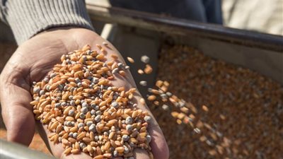 غدا.. انطلاق أعمال الدورة 37 لمؤتمر منظمة الأغذية والزراعة الإقليمي بالأردن