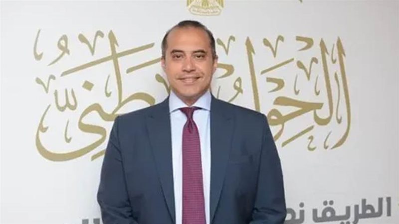 المستشار محمود فوزى