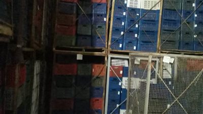 ضبط ٣٠٠ طن تمور غير صالحة للاستهلاك الآدمي في حملة تموينية بالبحيرة 