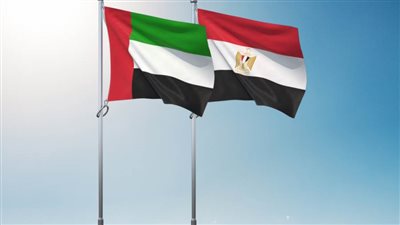 مصر والإمارات تواصلان الإسقاط الجوي لأطنان من المساعدات الإنسانية شمال قطاع غزة