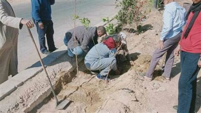 استمرار زراعة أشجار مثمرة وأخرى للزينة في مركزين بالمنيا ضمن مبادرة 