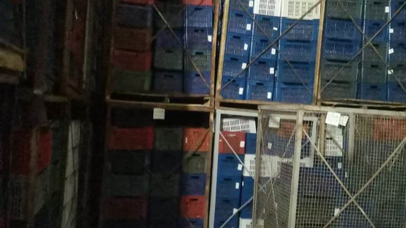 ضبط ٣٠٠ طن تمور غير