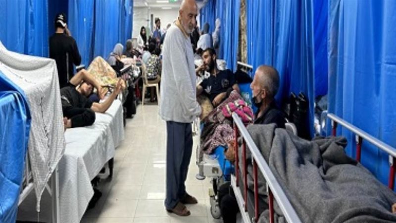 بوابة روز اليوسف