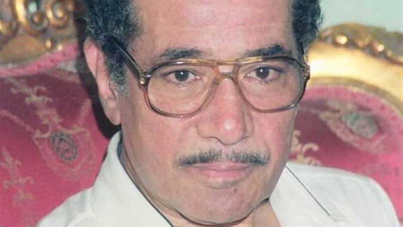 محمد الموجي