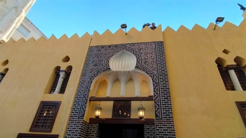 نائب محافظ البحيرة