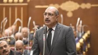 إيهاب وهبة: قرارات البنك المركزي تكبح جماح التضخم وتقضي على السوق السوداء