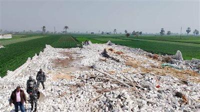 الموجة 22 لإزالة التعديات محافظ المنيا إزالة 81 حالة تعد على الأرض الزراعية وأملاك الدولة