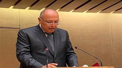 عاجل.. شكري: السياسات الإسرائيلية في غزة باتت تستهدف جعل القطاع غير قابل للحياة وطرد سكانه