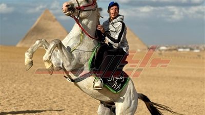 ورثوها أبا عن جد .. تربية الخيل بنزلة السمان مهنة تتوارثها الأجيال