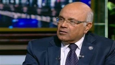 الفيومي: قرار المركزي يدعم سياسة الاقتصاد الحر ويعطي مرونة لسوق الصرف